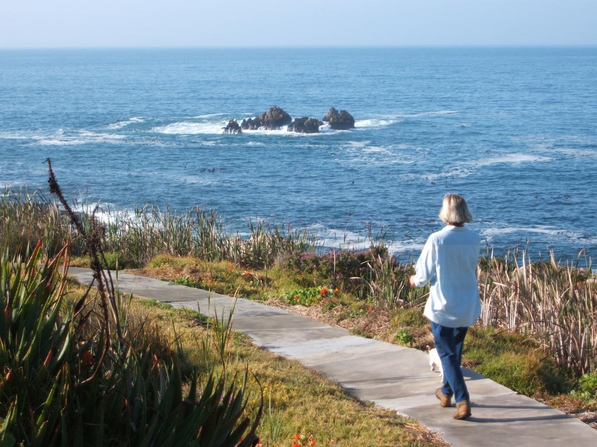Smuts Ave. Guest Rooms Hermanus Ngoại thất bức ảnh